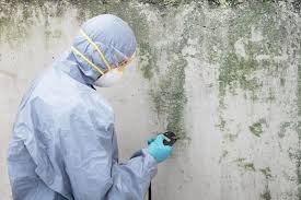 Forensic Mold Investigation in Pacolet, SC